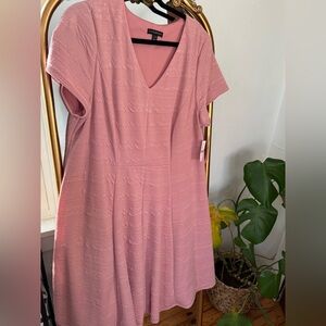 NWT Elegant Pink Textured Dress